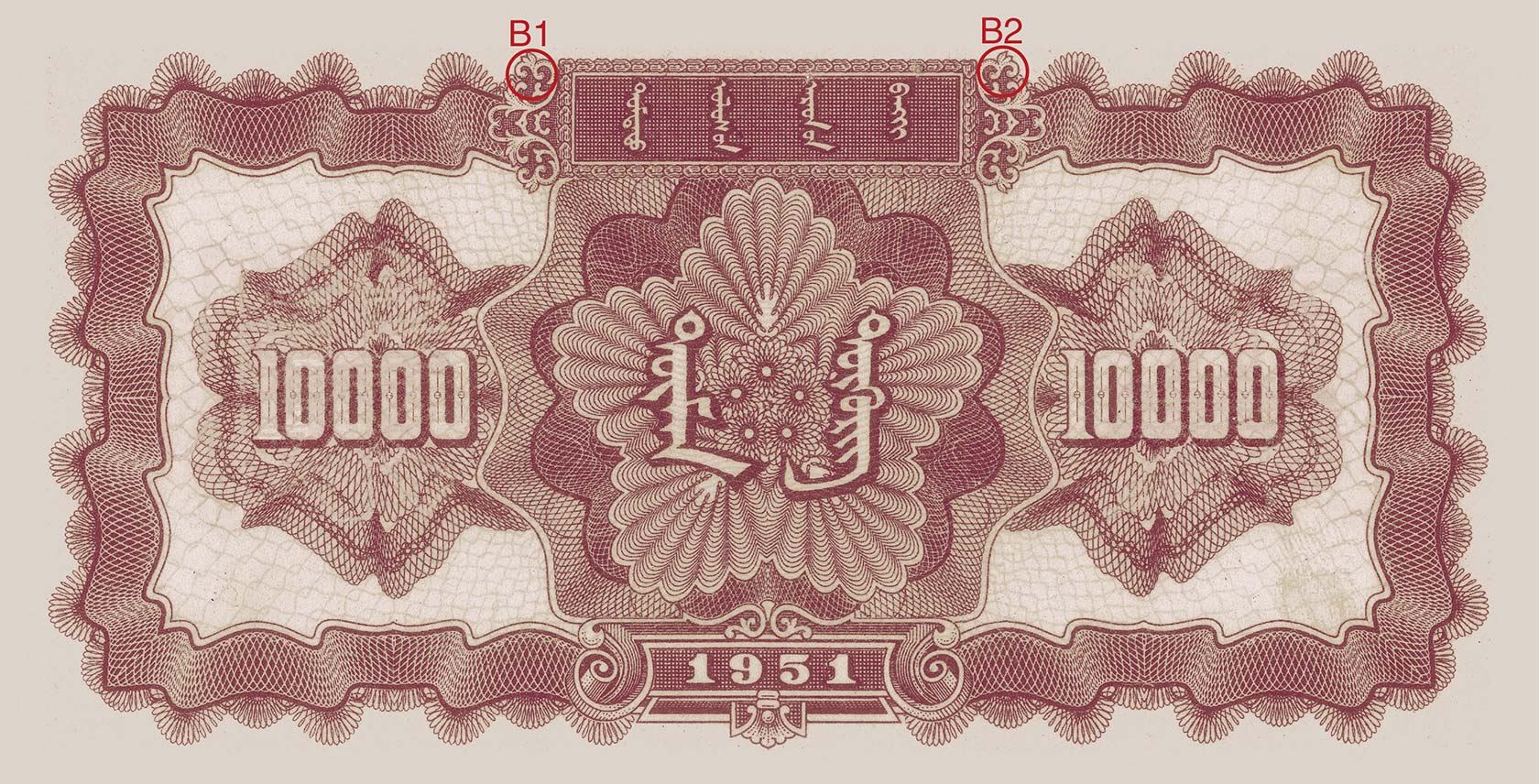 1920 x 1002